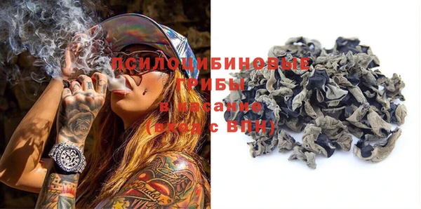 мдпв Няндома